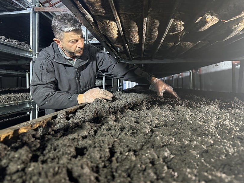 İstanbul’dan memleketine dönen bilişimci mantar üreticisi oldu