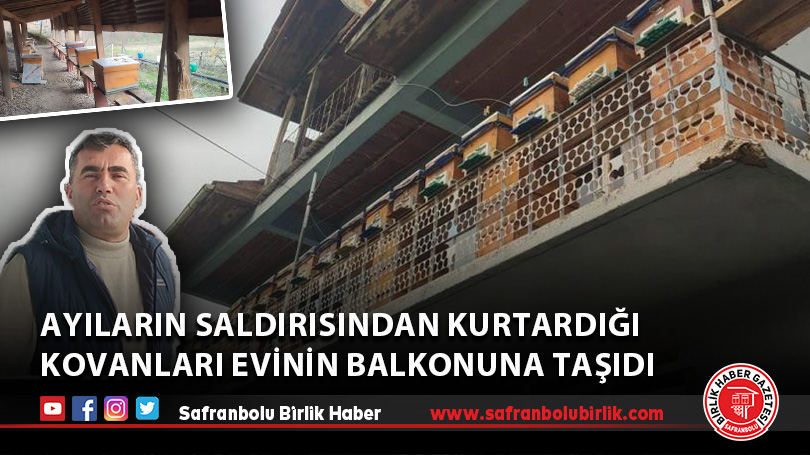 Ayıların saldırısından kurtardığı kovanları evinin balkonuna taşıdı