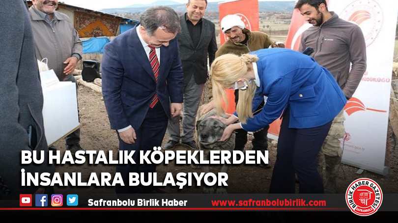 Bu hastalık köpeklerden insanlara bulaşıyor