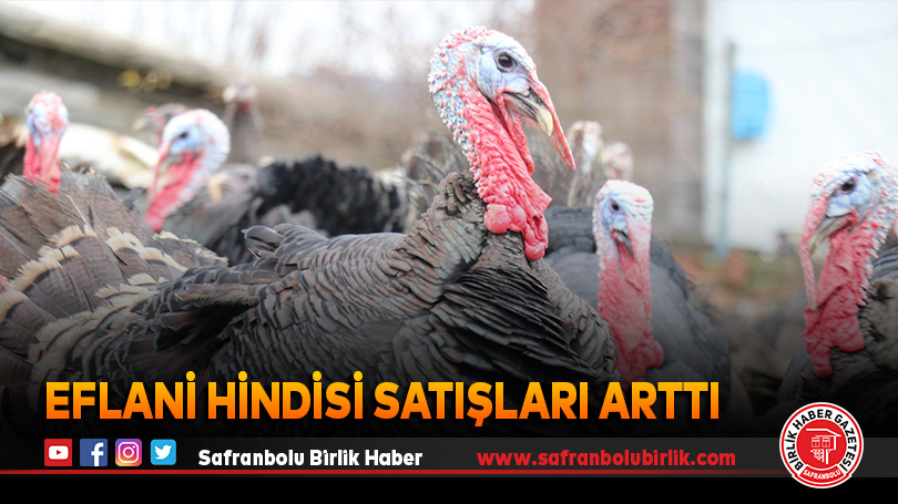 Eflani Hindisi satışları arttı