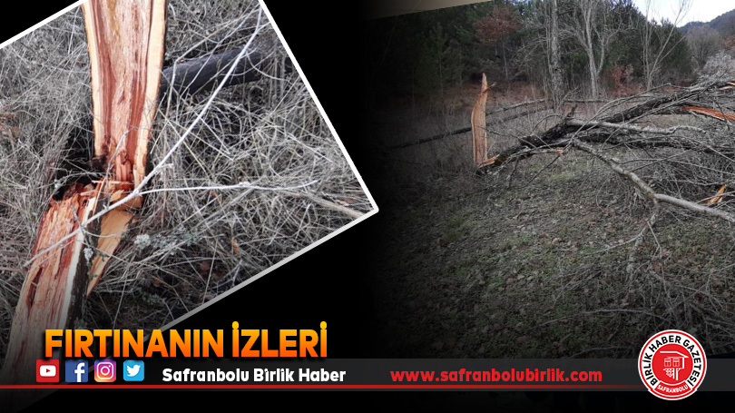 Fırtınanın izleri