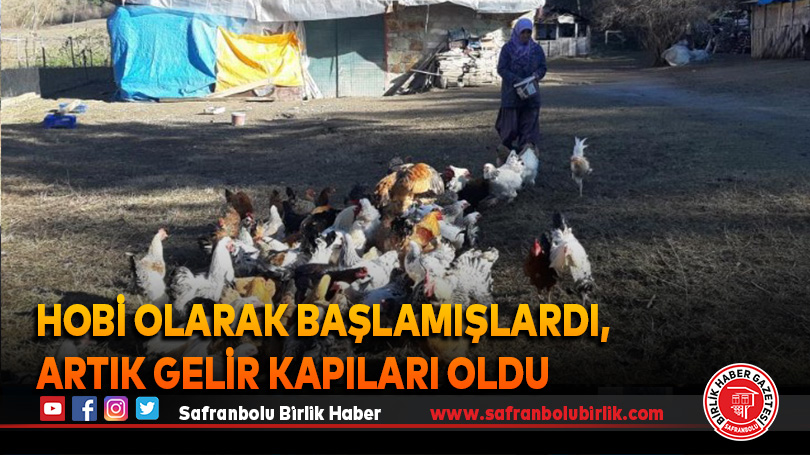 Hobi olarak başlamışlardı, artık gelir kapıları oldu