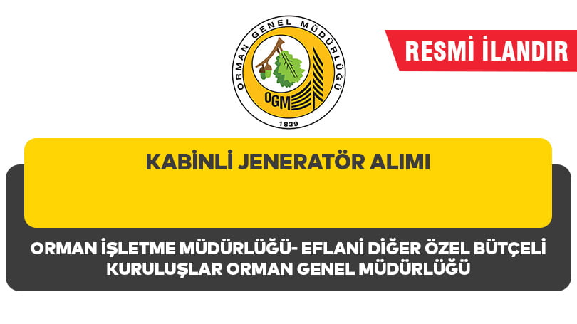 KABİNLİ JENERATÖR ALIMI