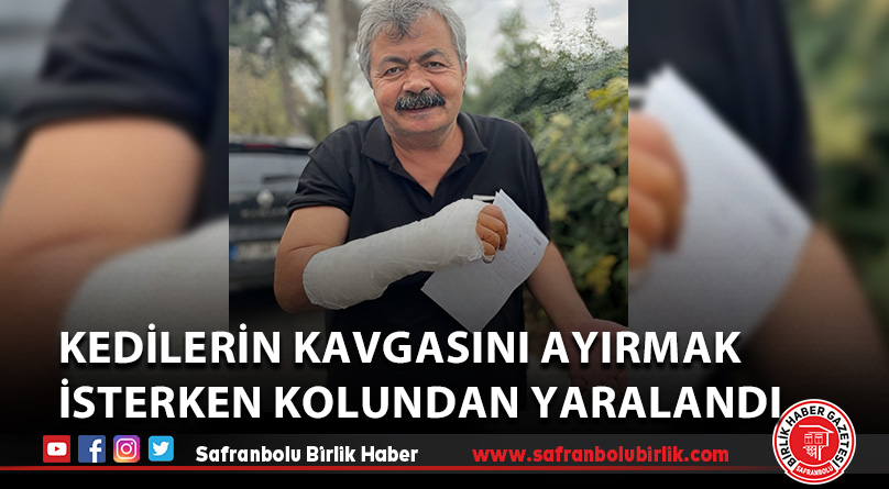 Kedilerin kavgasını ayırmak isterken kolundan yaralandı