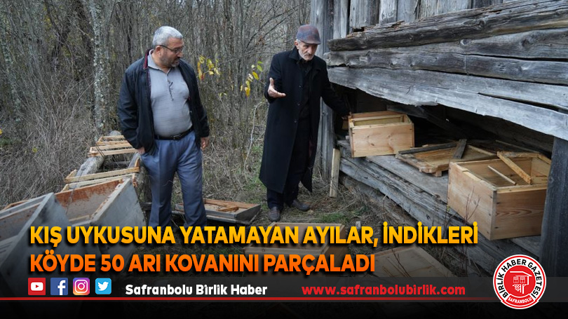 Kış uykusuna yatamayan ayılar, indikleri köyde 50 arı kovanını parçaladı