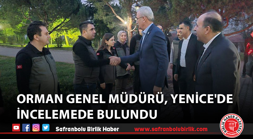 Orman Genel Müdürü, Yenice’de incelemede bulundu