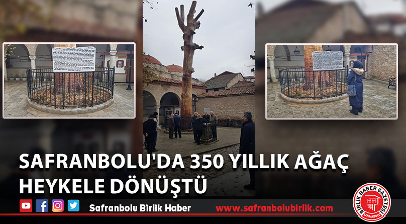 Safranbolu’da 350 yıllık ağaç heykele dönüştü