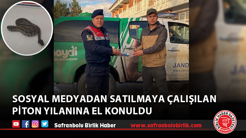 Sosyal medyadan satılmaya çalışılan piton yılanına el konuldu