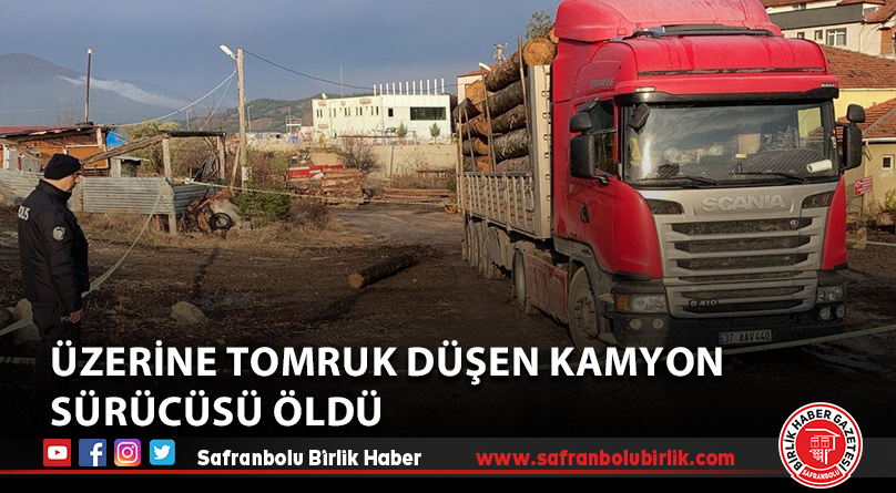 Üzerine tomruk düşen kamyon sürücüsü öldü