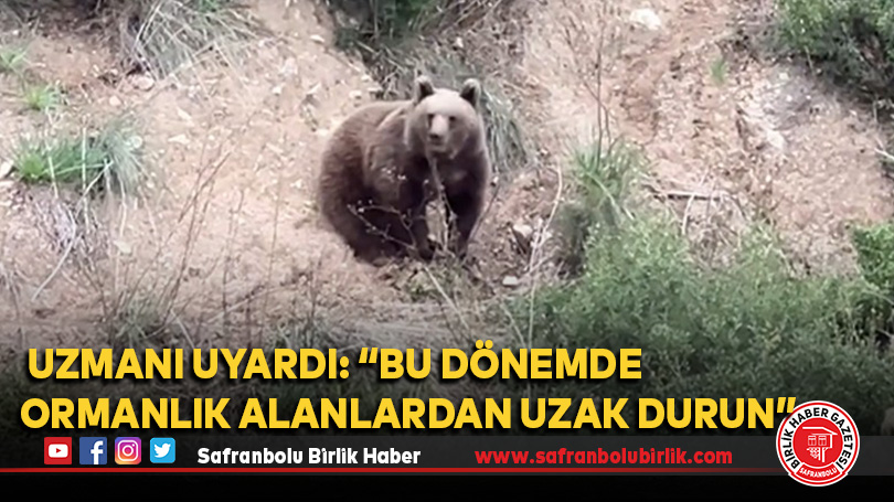 Uzmanı uyardı: “Bu dönemde ormanlık alanlardan uzak durun”