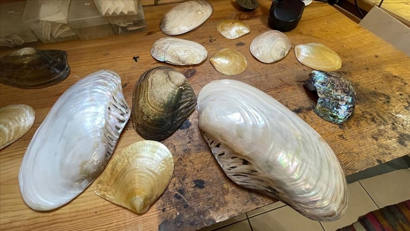 İstiridye kabuklarını sanat eserine dönüştürüyor