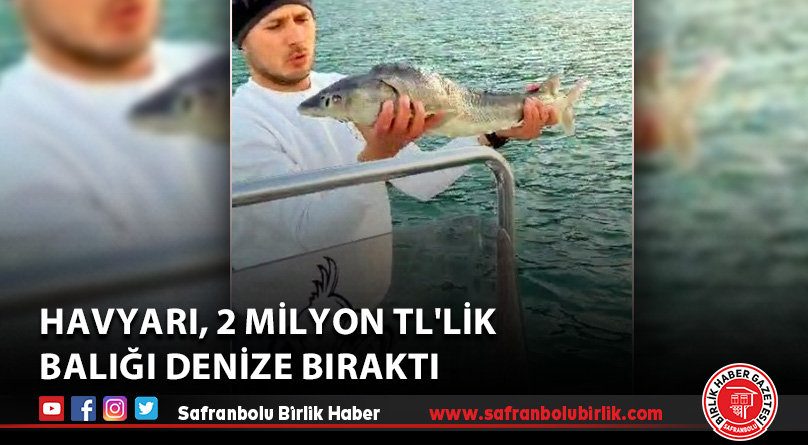 Havyarı, 2 milyon TL’lik balığı denize bıraktı