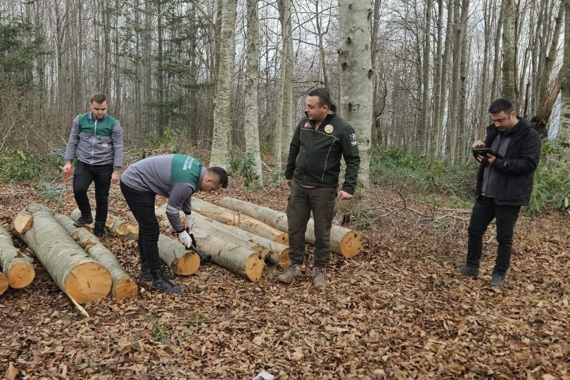 Orman emvali barkotlandı