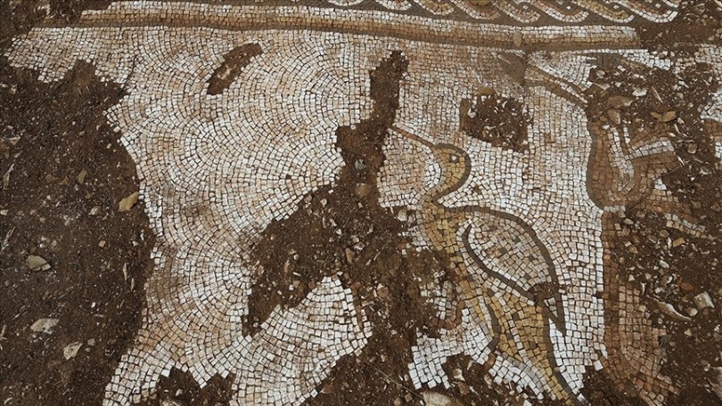 Kurtarma kazısında deniz canlıları figürlü mozaikler bulundu