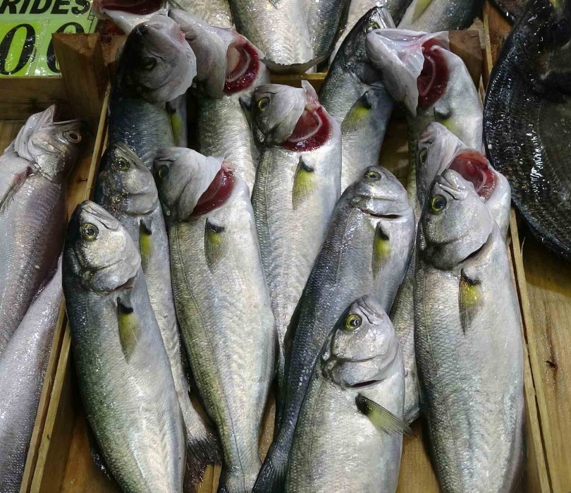 Denizlerin prensi lüfer tezgahlarda azaldı, kilosu 750 liraya çıktı