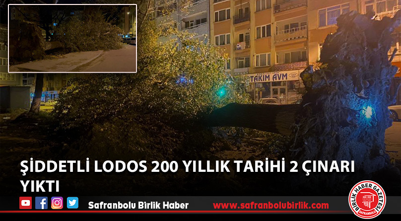 Şiddetli lodos 200 yıllık tarihi 2 çınarı yıktı