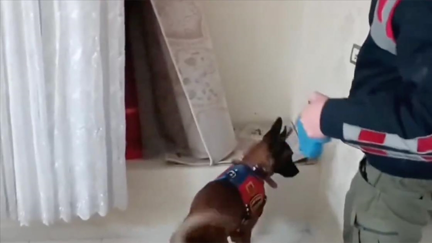 Bakan Yerlikaya, Narkogüç-38 Operasyonu’nun tamamlandığını bildirdi