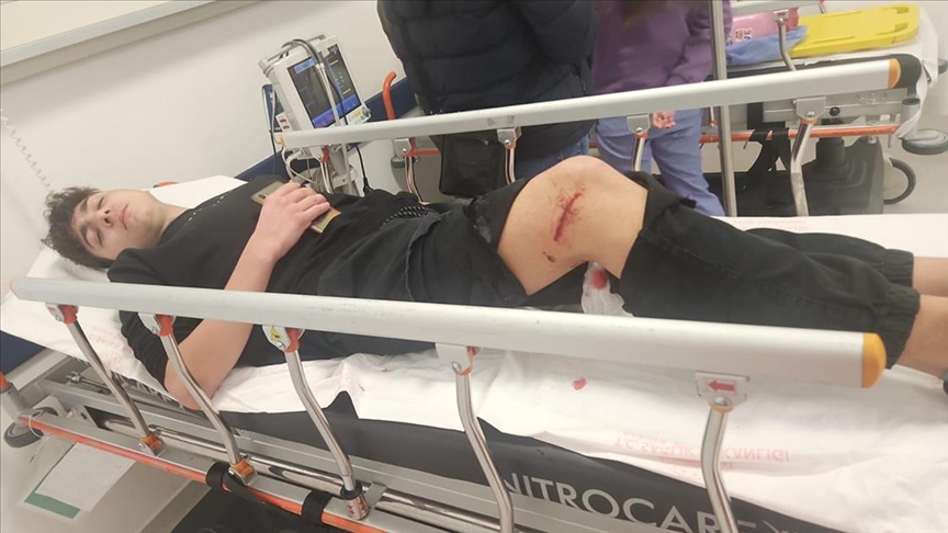 Bir öğrenci daha okula giderken sahipsiz köpeklerin saldırısına uğradı