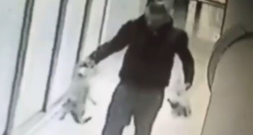 sokaktan kedileri toplayıp, evinde öldürdükten sonra bahçeye atan cani yakalandı