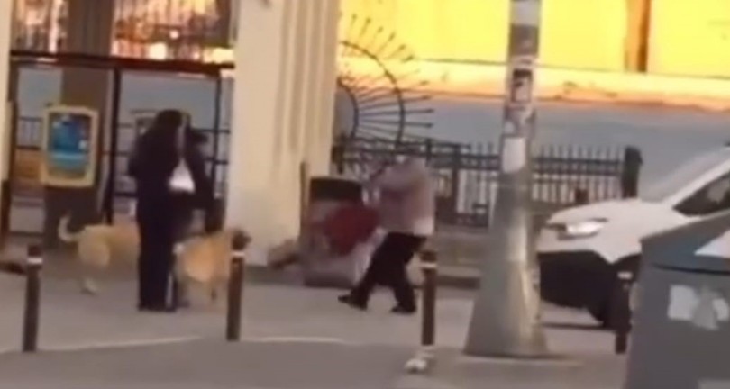 Yaşlı kadına köpekler saldırdı