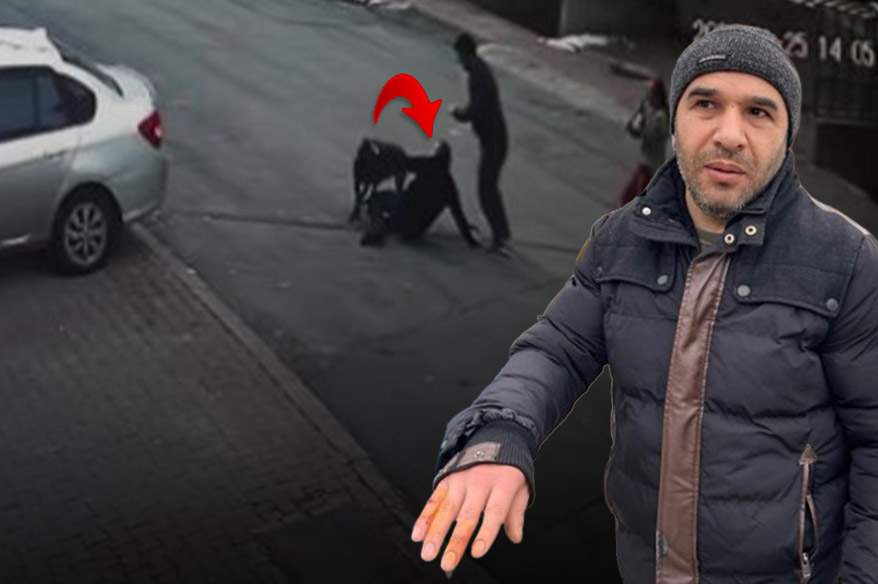 Tasmalı köpek dehşeti