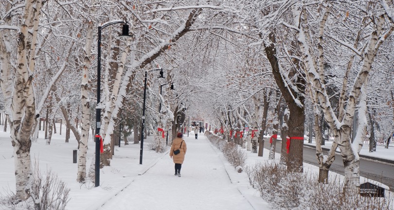 Erzurum beyaza büründü