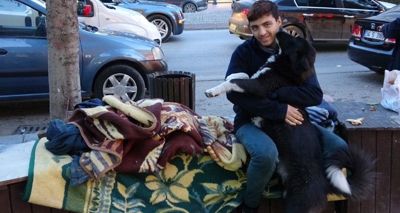 Evsiz gencin en iyi arkadaşı sokak hayvanları oldu