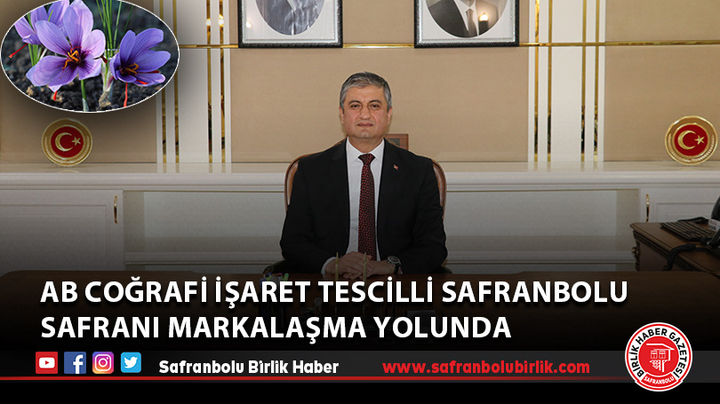 AB coğrafi işaret tescilli Safranbolu safranı markalaşma yolunda ilerleyecek