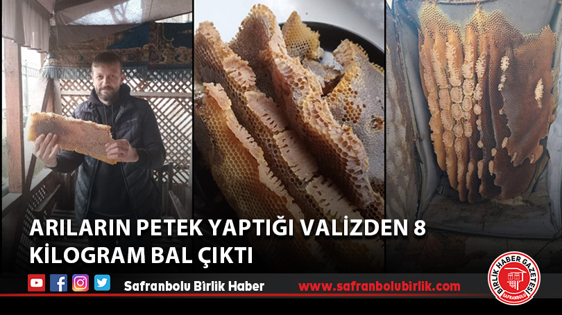 Arıların petek yaptığı valizden 8 kilogram bal çıktı