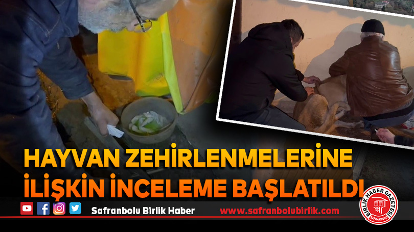 Hayvan zehirlenmelerine ilişkin inceleme başlatıldı