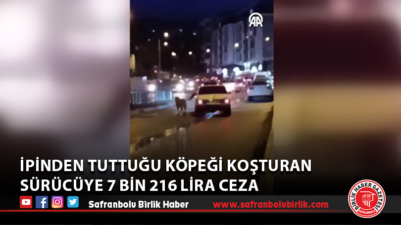İpinden tuttuğu köpeği koşturan sürücüye 7 bin 216 lira ceza