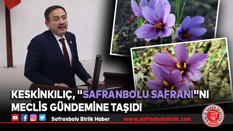 Safranbolu Safranı Meclis Gündeminde