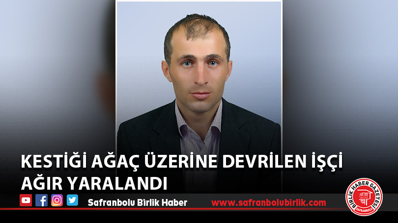 Kestiği ağaç üzerine devrilen işçi ağır yaralandı