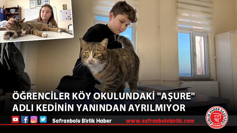 Öğrenciler köy okulundaki “Aşure” adlı kedinin yanından ayrılmıyor