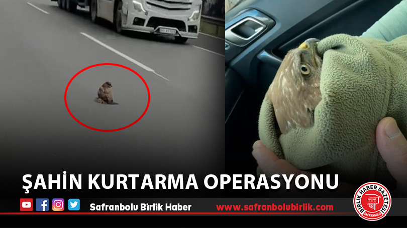 Şahin kurtarma operasyonu