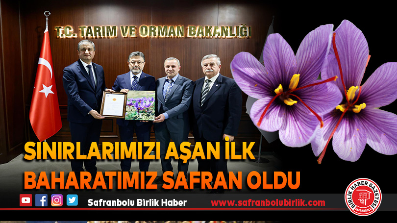 Sınırlarımızı Aşan İlk Baharatımız SAFRAN Oldu