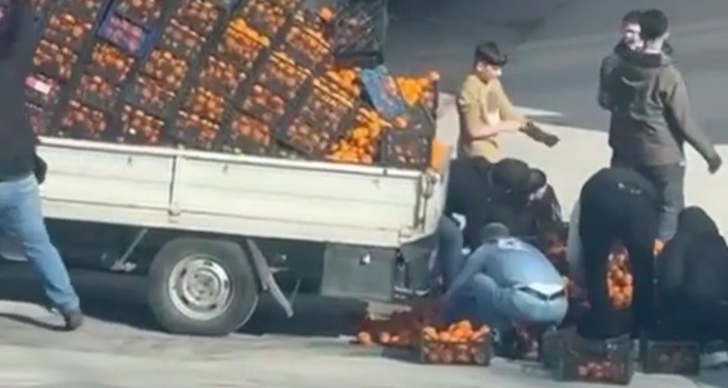 Kamyonetten dökülen mandalinalar için herkes seferber oldu