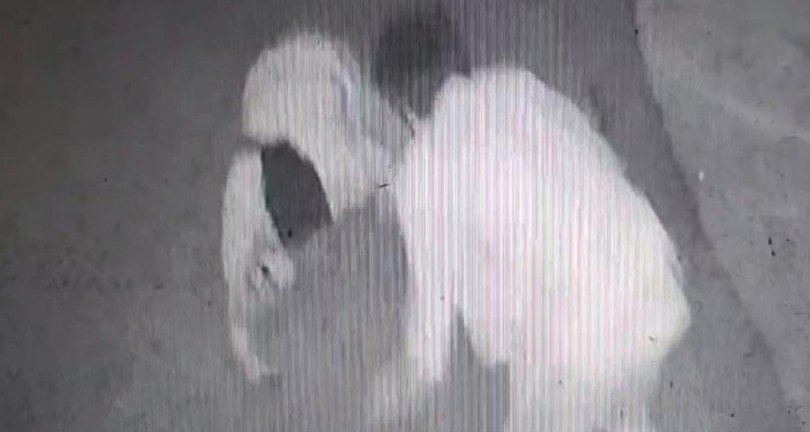 Öldürmeden önce “Sen kafirsin” diye bağırmış