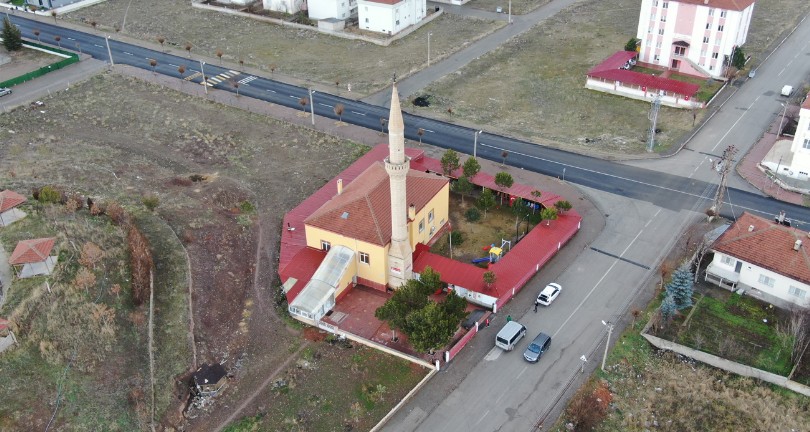 Ağaçlar kesilmedi ortaya ilginç görüntüler çıktı