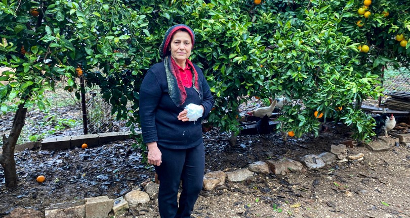 Yumurta toplamak için bahçeye giren kadın, dobermanın saldırısına uğradı