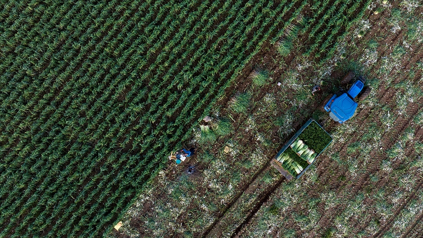 Çiftçilere bugün yaklaşık 9,4 milyar lira destekleme ödemesi yapılacak