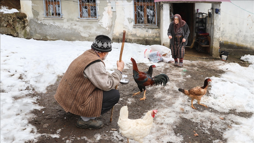 Ahmet dede ve Raziye nine ömürlerinin 66 yılını hayvancılığa verdi