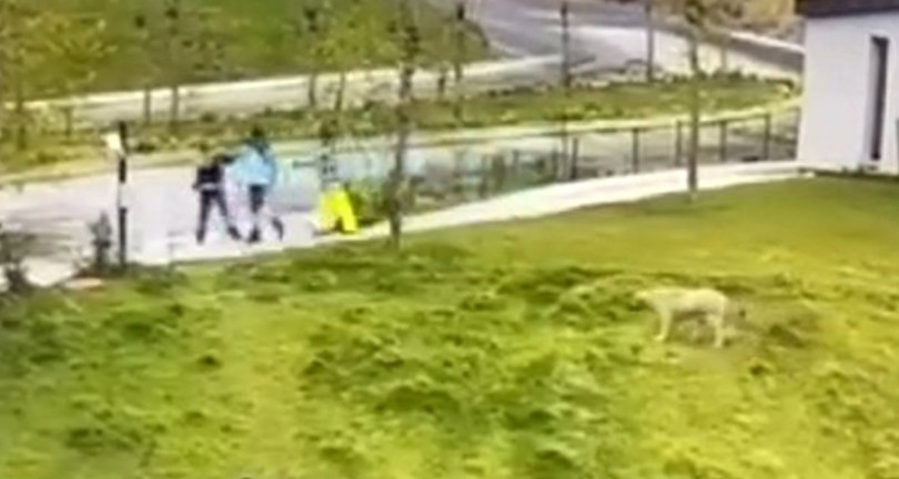 İBB Arıtma Tesisi’nde işlenen korkunç cinayetin görüntüsü ortaya çıktı