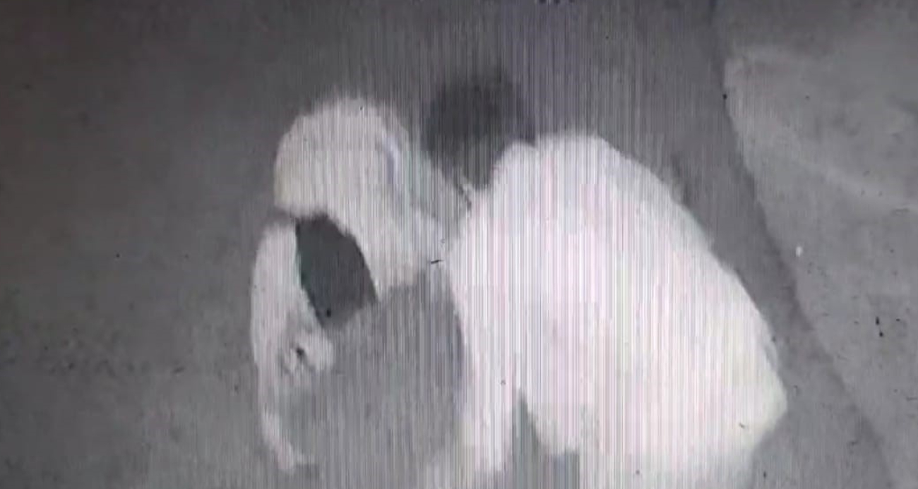 ‘Laf atma’ cinayeti!