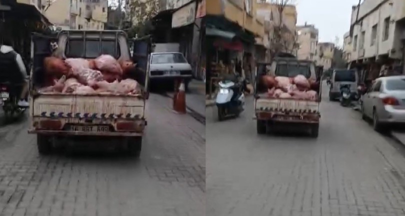 Hijyen Kurallarını hiçe saydılar