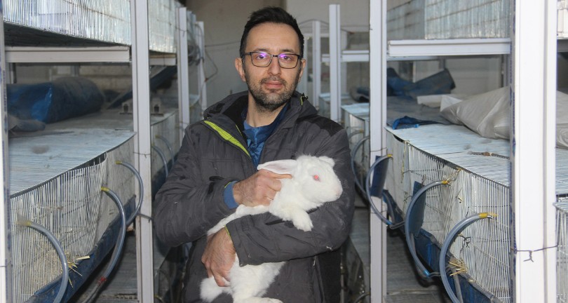 Etlik tavşan çiftliği