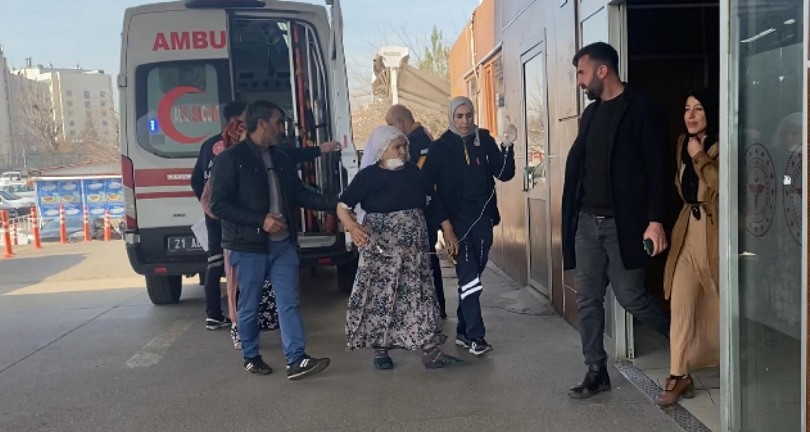 Besledikleri köpeğin saldırısına uğradı