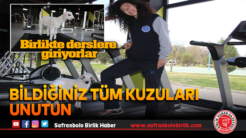 Bildiğiniz tüm kuzuları unutun