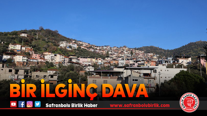 Bir ilginç dava