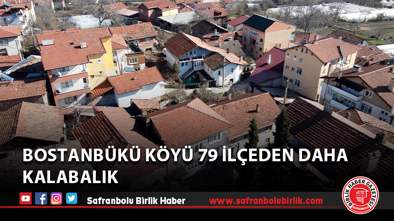 Bostanbükü köyü 79 ilçeden daha kalabalık
